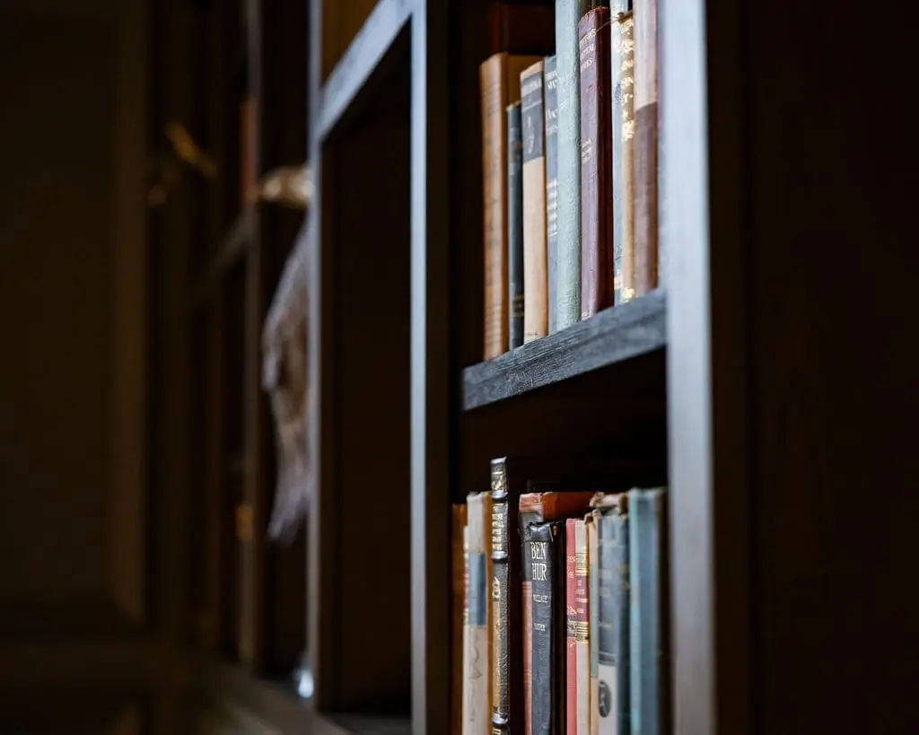 Shelves of old leather-bound books in a dimly lit lounge