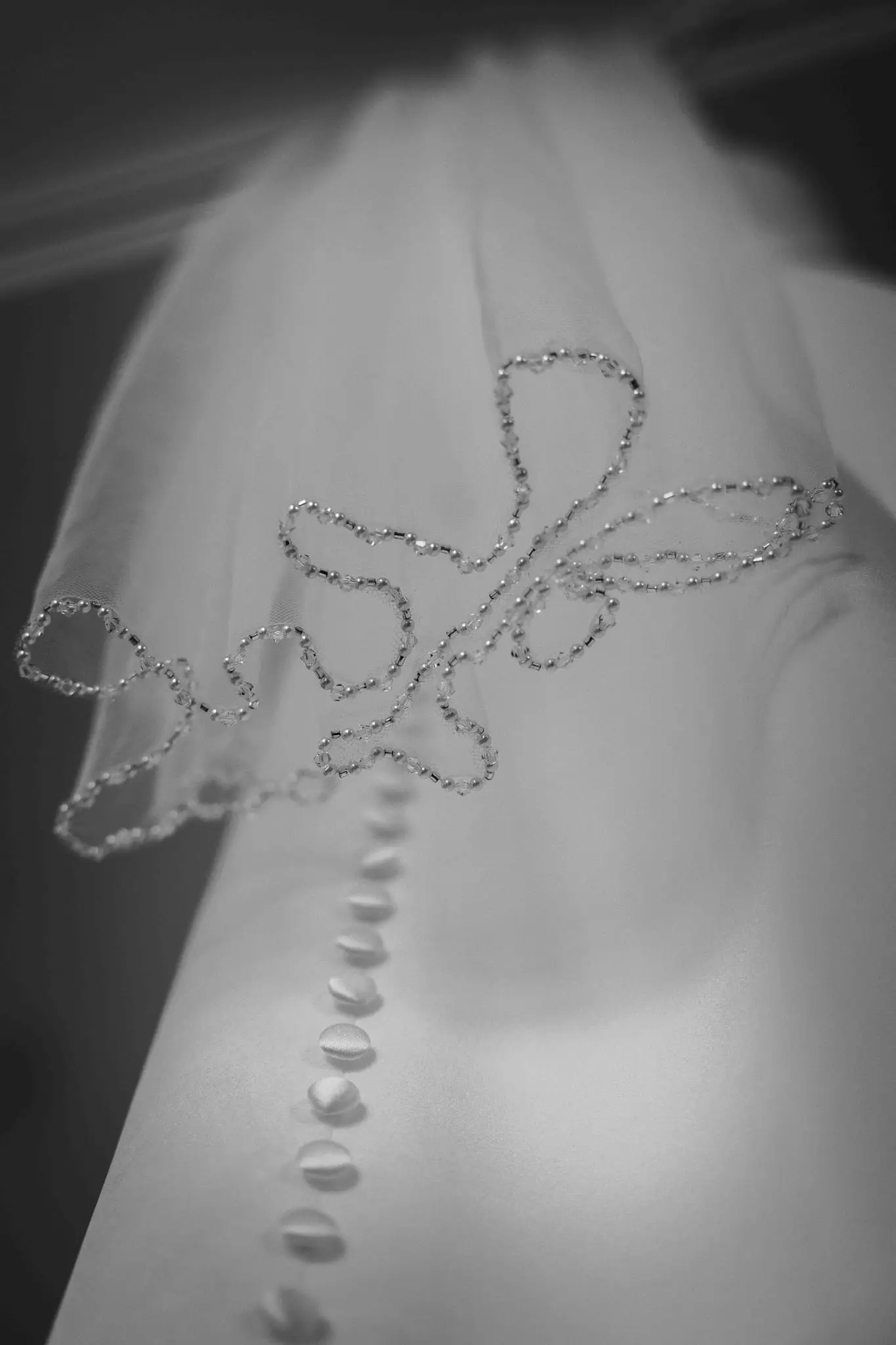 Beaded lace edge of the wedding veil above the buttoned back of the gown