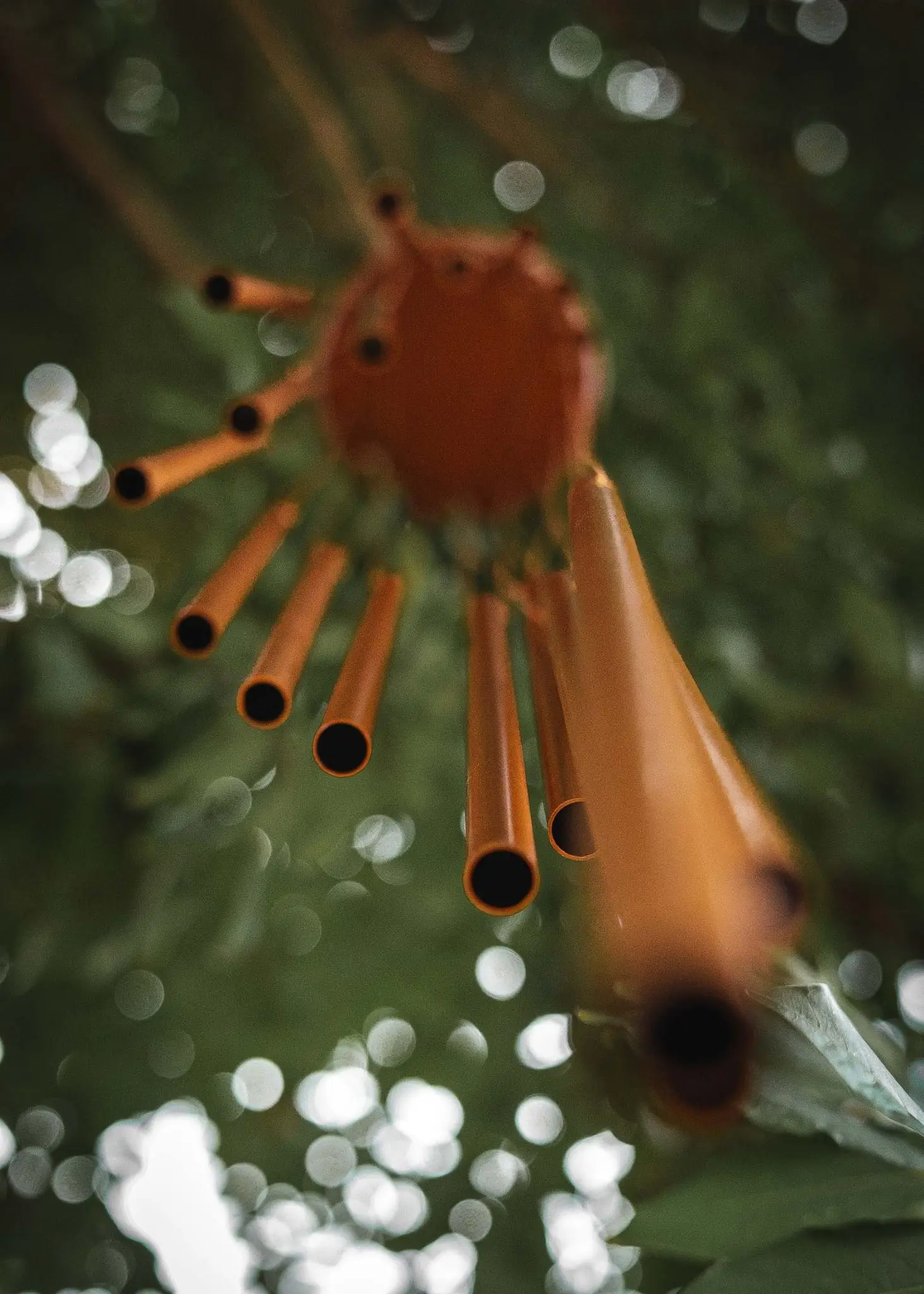 Copper wind chimes hanging in a tree with soft green bokeh