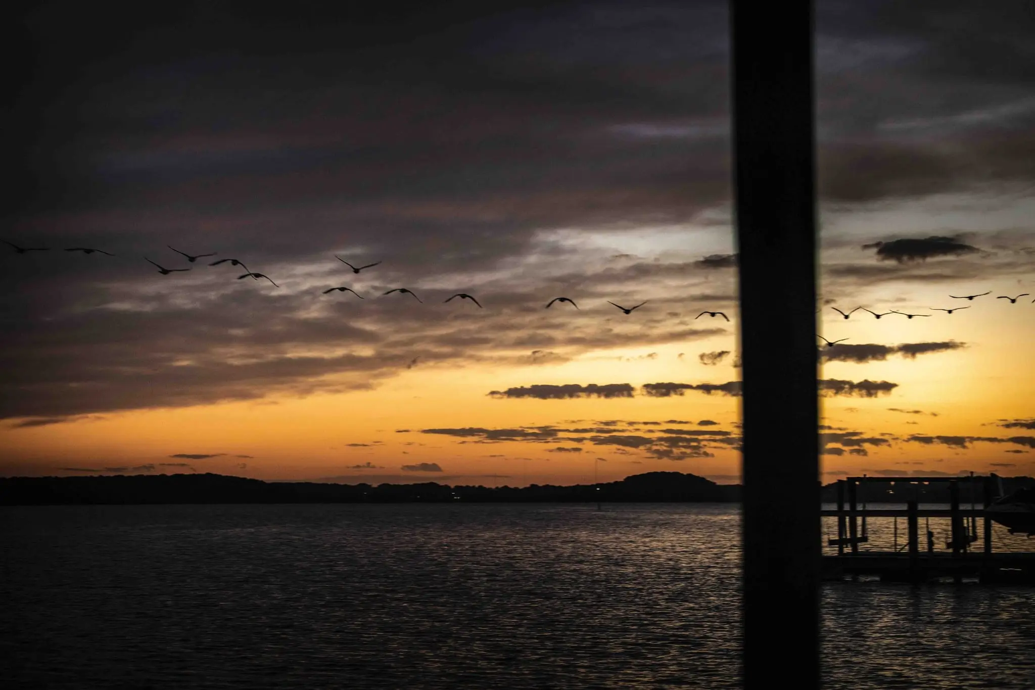 Flock of birds crossing a dusky sky over the lake at sunset