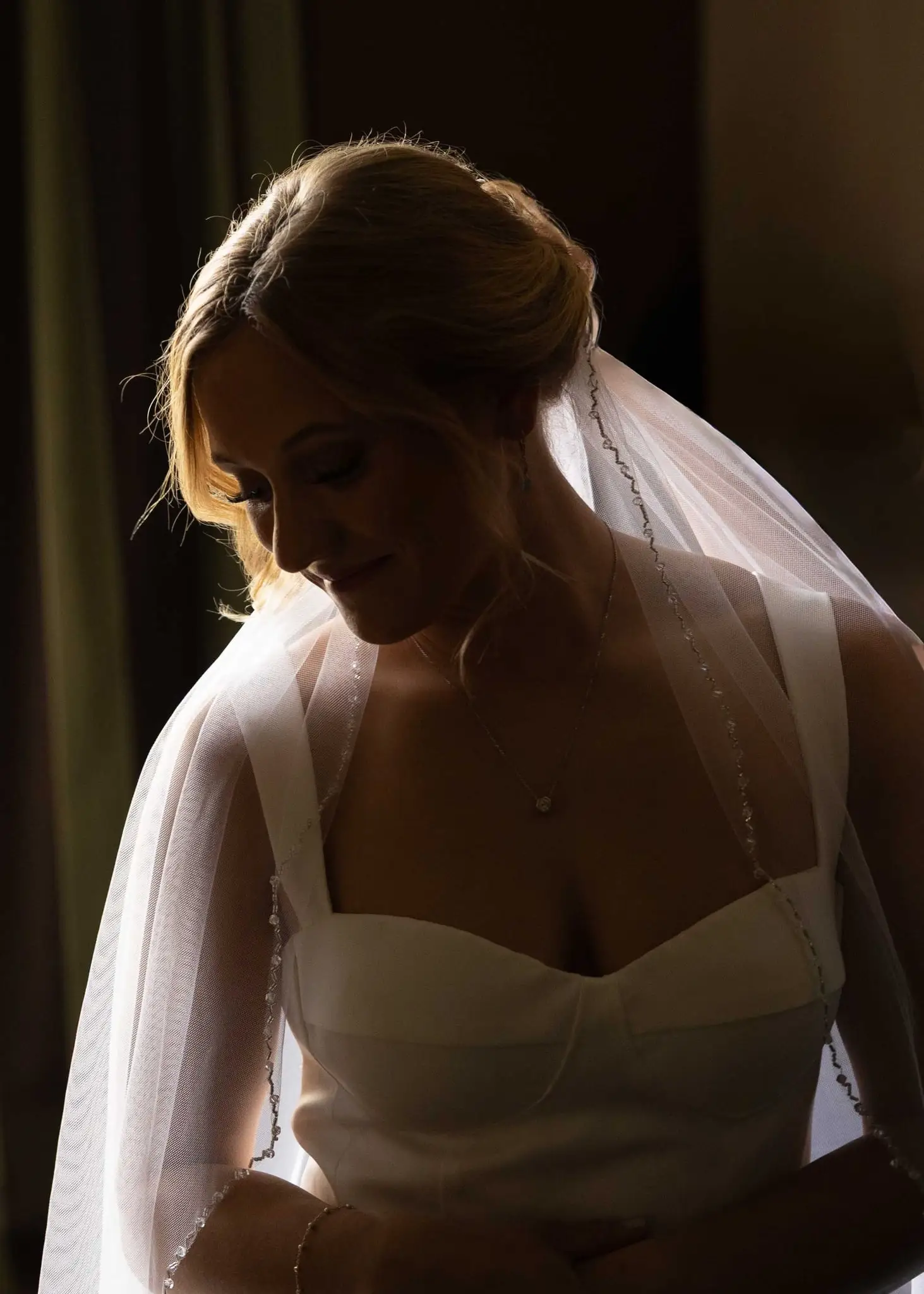 Lauren and Damian wedding at The Lodge at Flat Rock, Flat Rock NC — the bride in profile in soft window light, her veil pinned