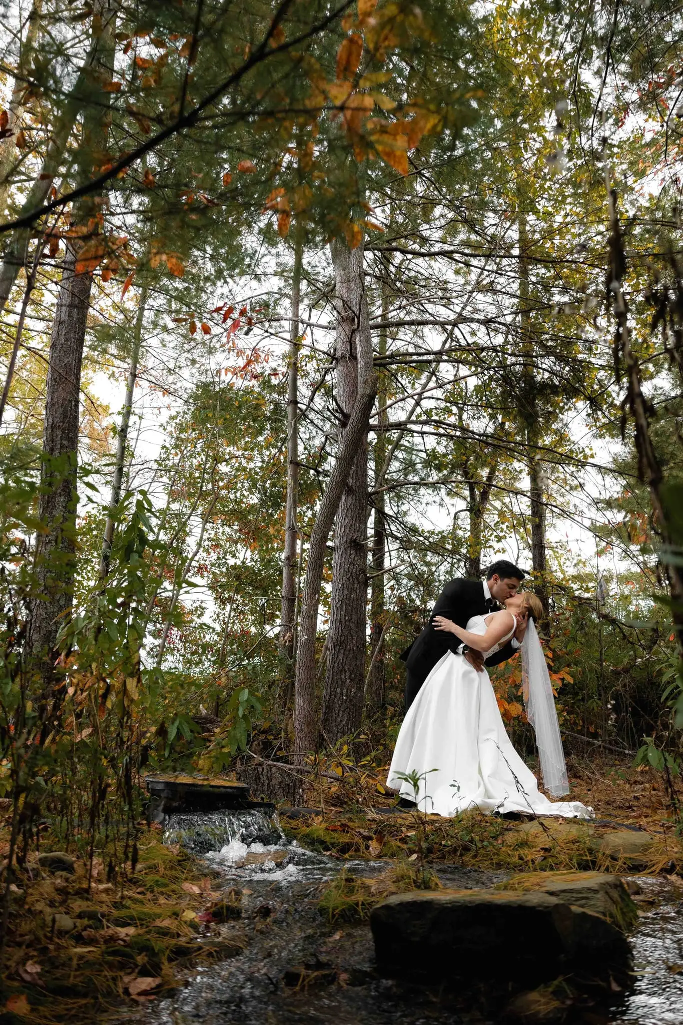 Bride and groom kissing in an autumn forest beside a stone-lined stream in Flat Rock
