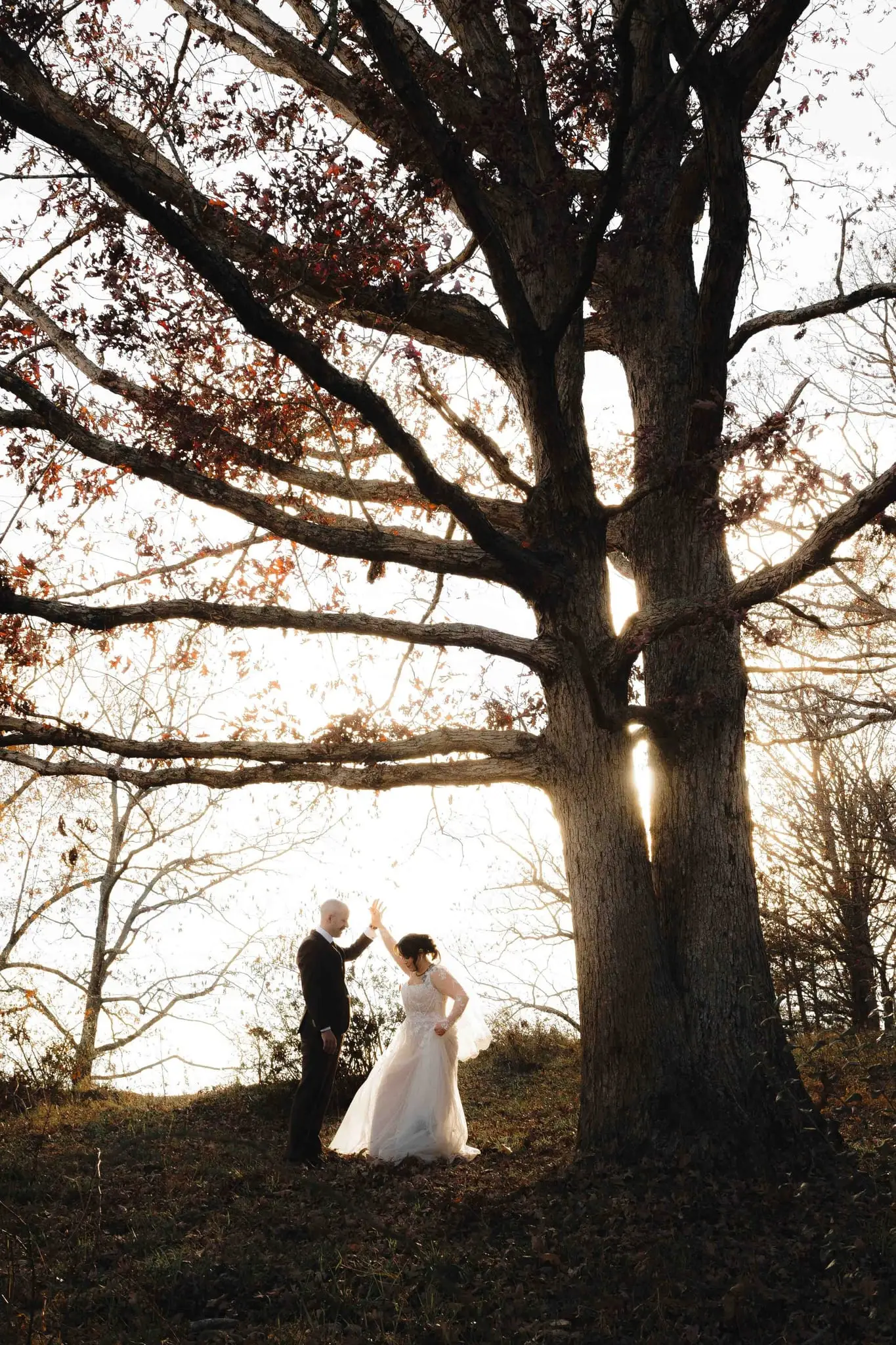 Tiny couple twirl in a gap beneath a huge bare oak lit from behind