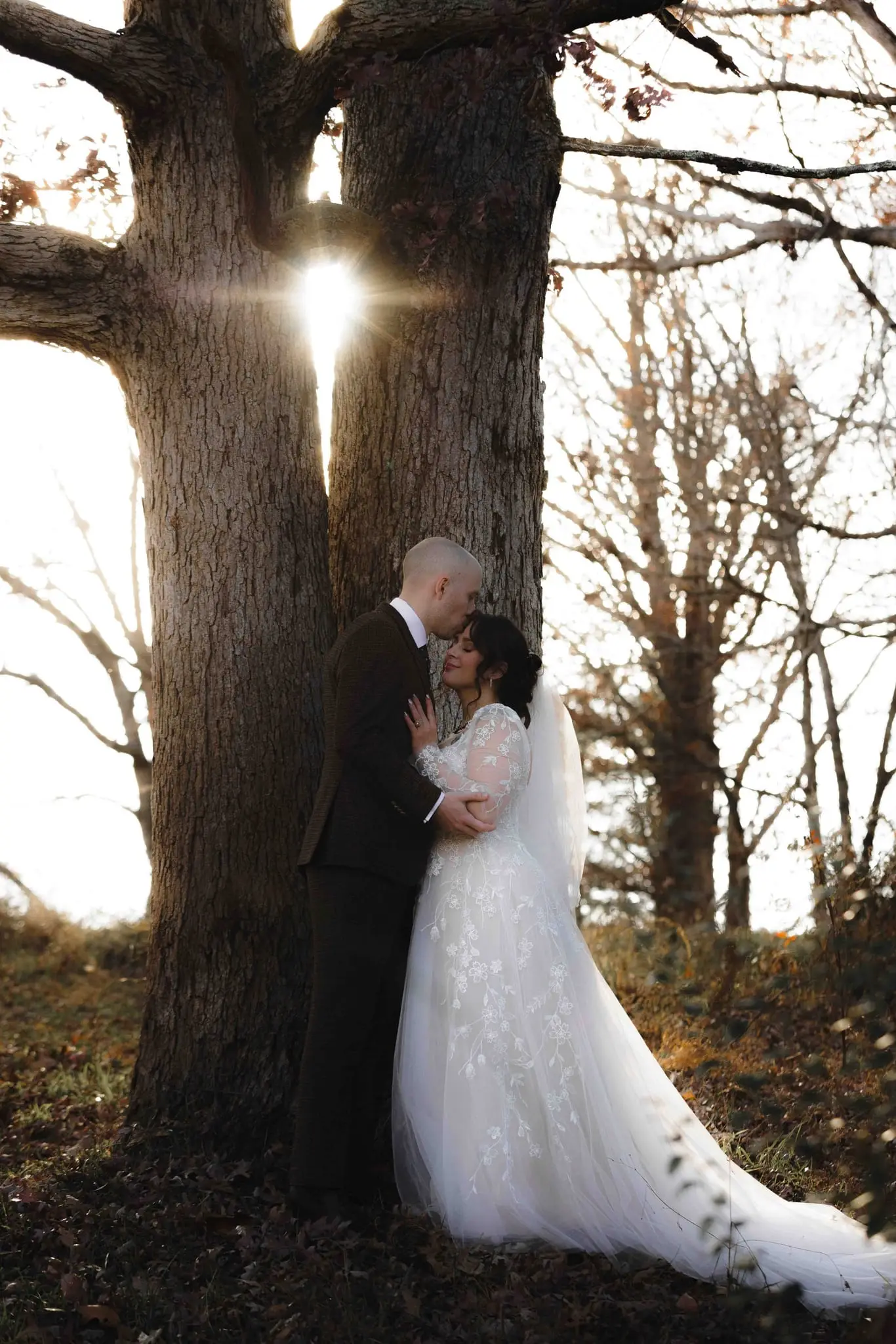 Couple embrace in front of a big oak with sunlight flaring through the trunks