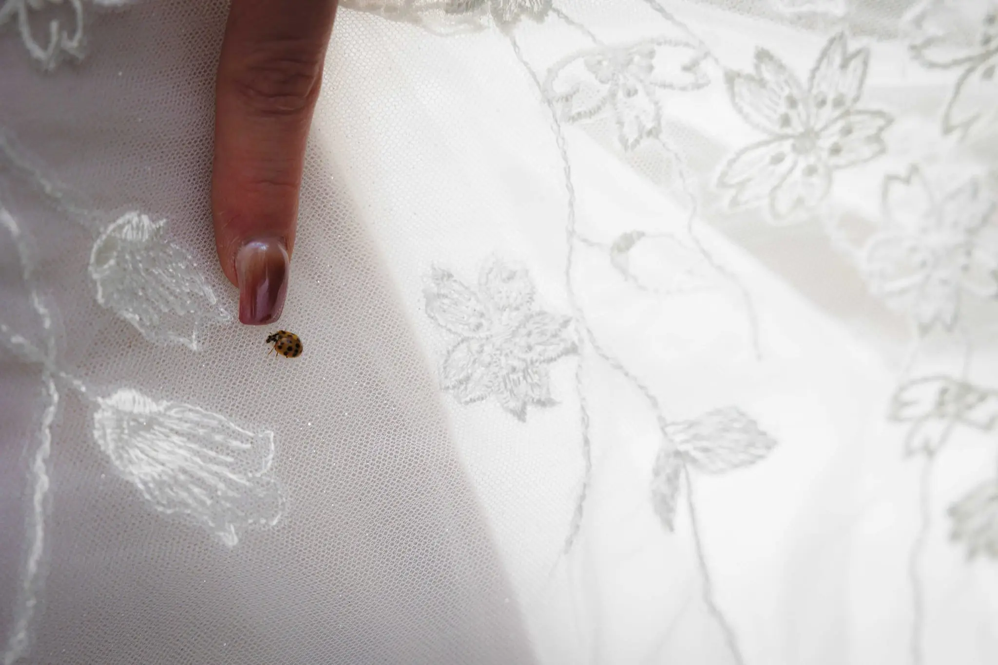 Close-up of a ladybug on the bride's fingertip against her embroidered tulle gown