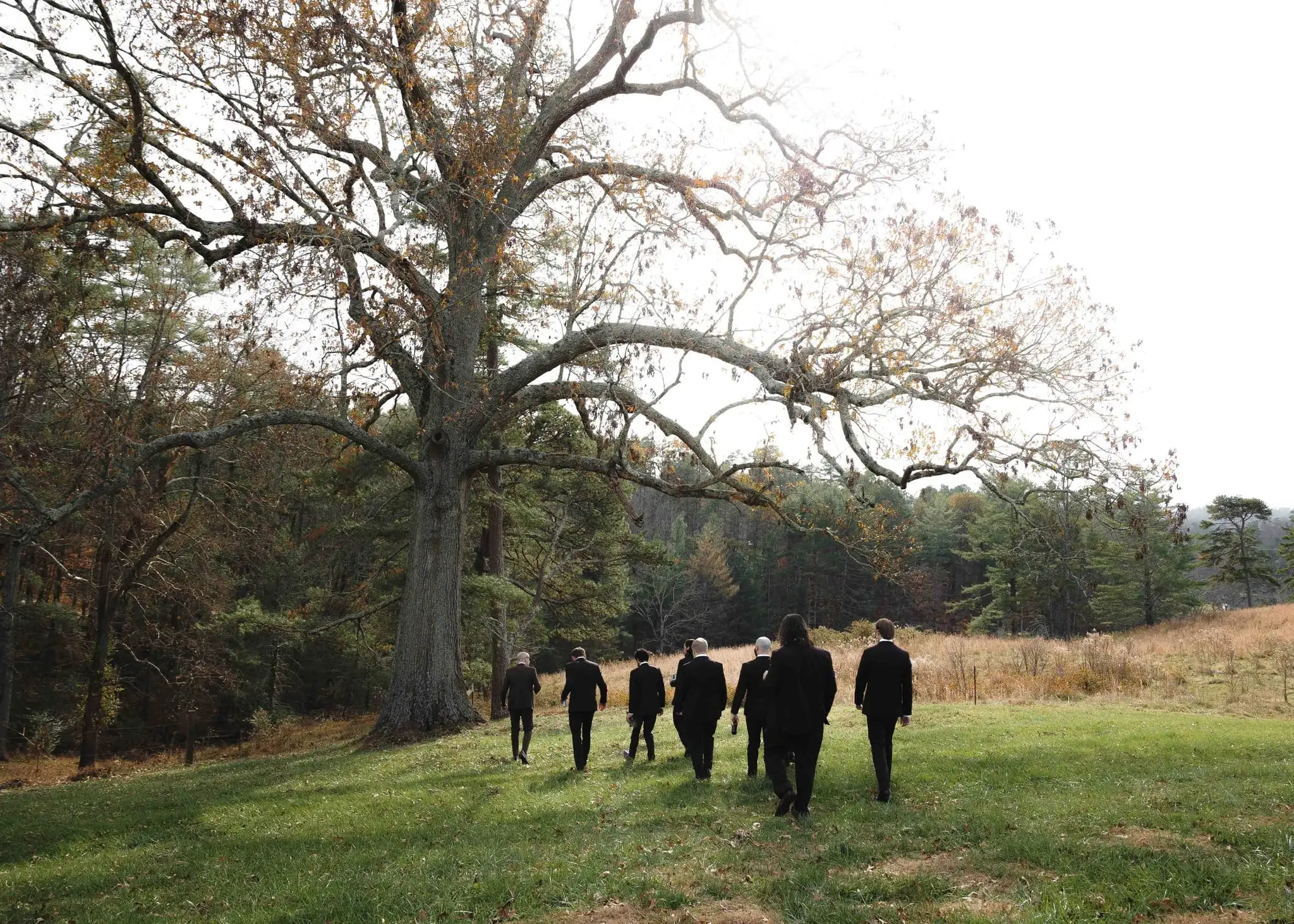 Elizabeth and Aidan wedding at Emerald Ridge Farm, Weaverville NC — the groomsmen walking in a line across the grass