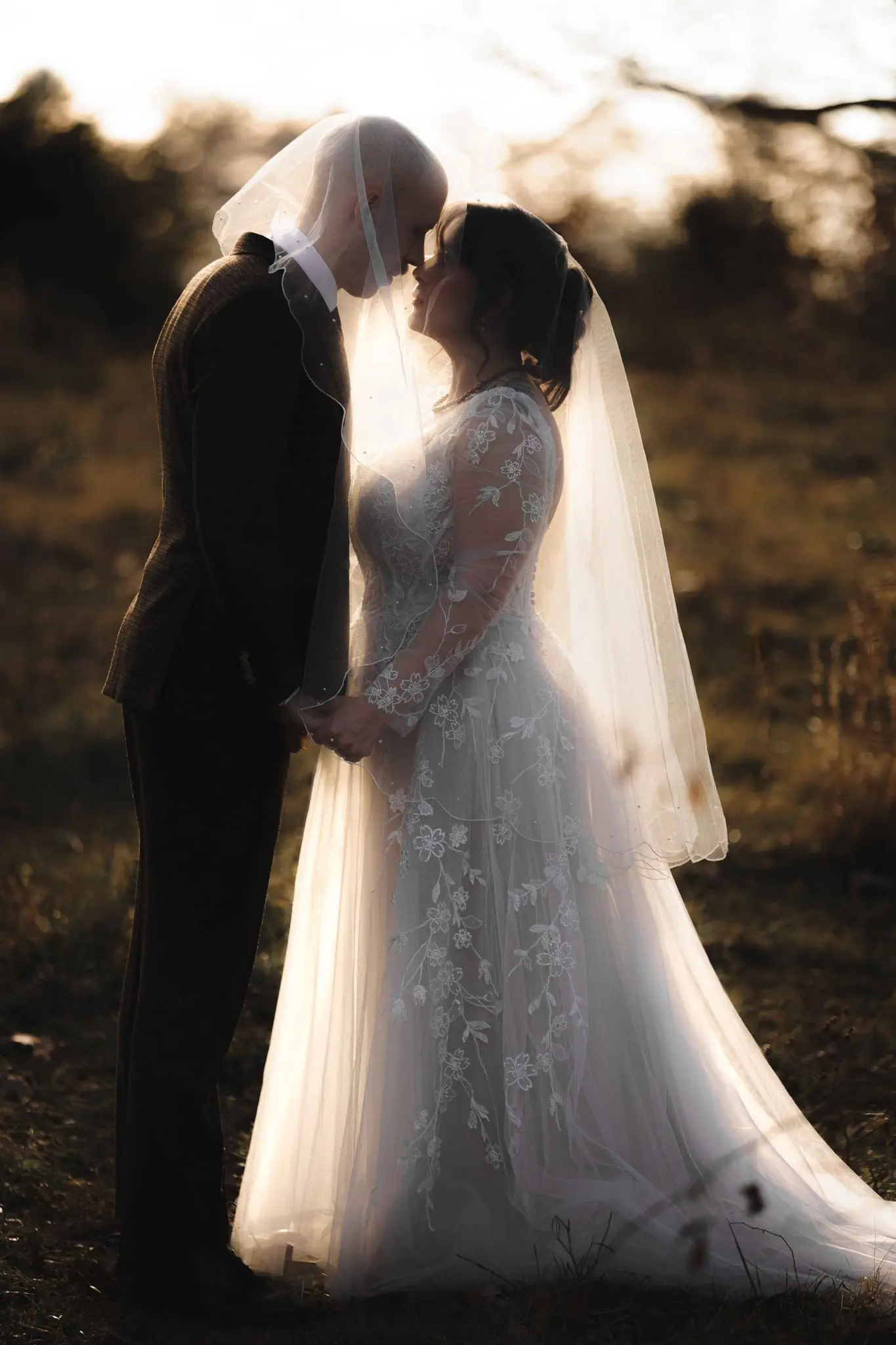 Backlit couple kiss under the bride's veil in golden light on a Weaverville hillside