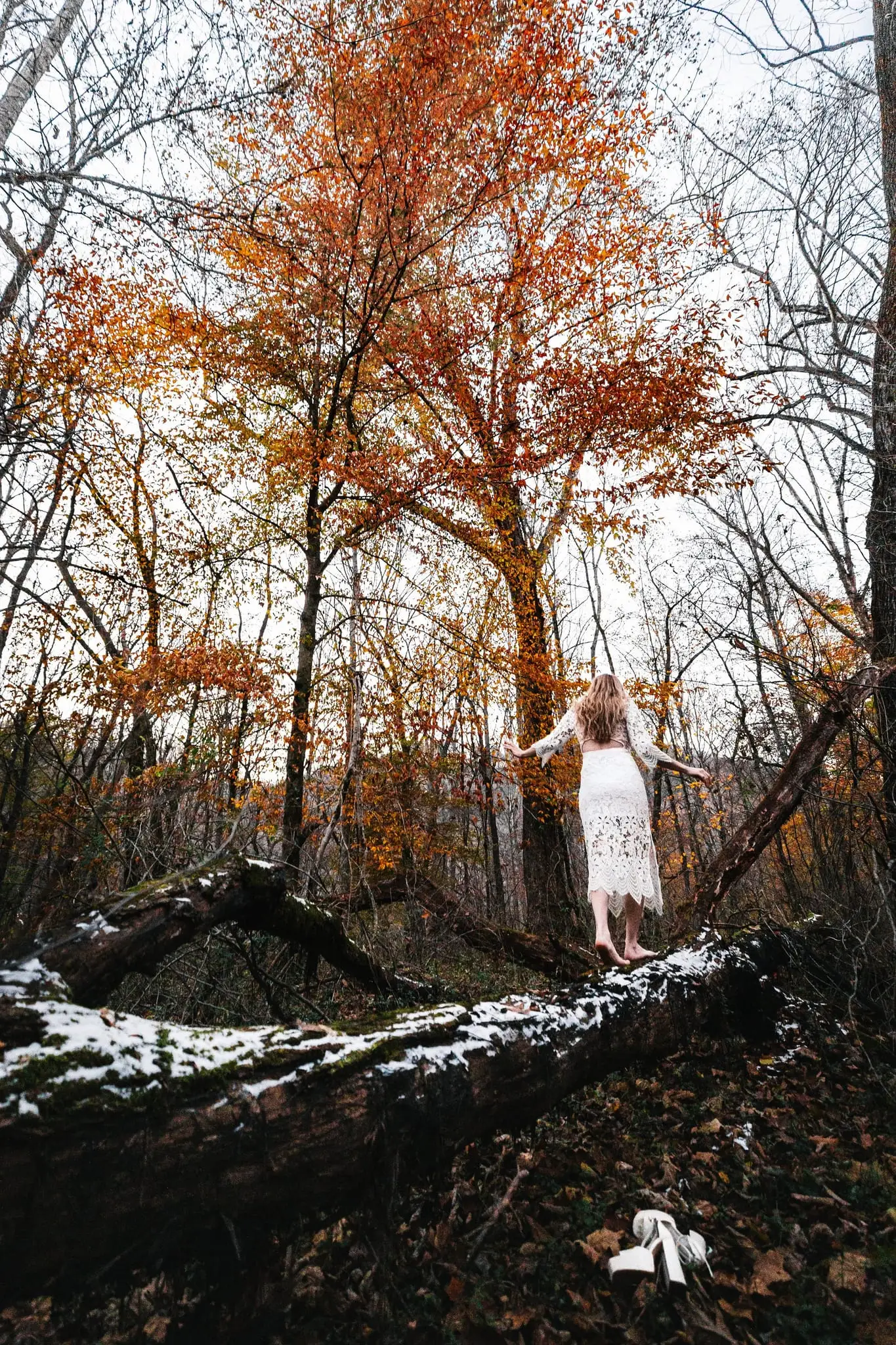Bride walking barefoot along a snow-dusted fallen log in an autumn forest
