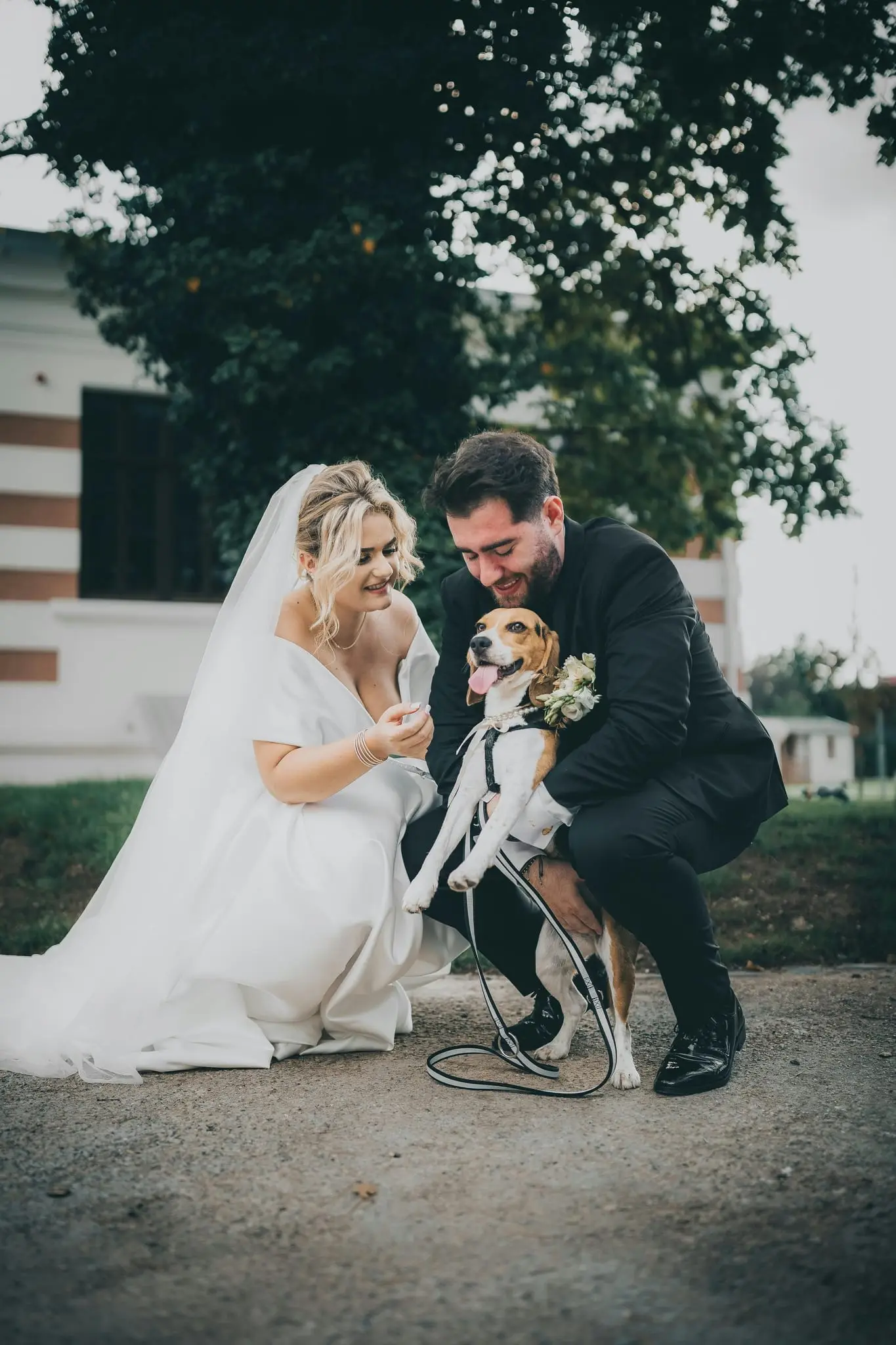 Bride and groom kneeling in a courtyard to cuddle their beagle in a floral collar and bow tie